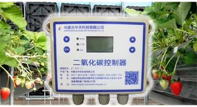 中國北方CO?新技術(shù)，將促進農(nóng)作物光合作用和光合產(chǎn)物的生成