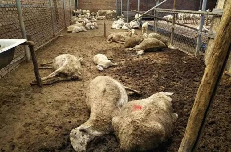 src=http___www.dxxnews.com_uploadfile_2017_0901_20170901114921692.jpg src=http___www.dxxnews.com_uploadfile_2017_0901_20170901114921692.jpg