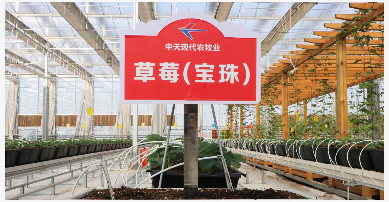 準(zhǔn)格爾旗現(xiàn)代智慧設(shè)施農(nóng)業(yè)產(chǎn)業(yè)園_20.jpg 準(zhǔn)格爾旗現(xiàn)代智慧設(shè)施農(nóng)業(yè)產(chǎn)業(yè)園_20.jpg