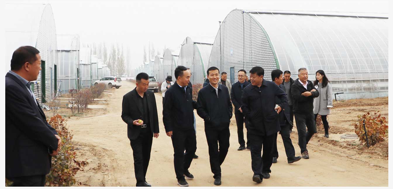 準格爾旗現(xiàn)代智慧設施農業(yè)產(chǎn)業(yè)園（網(wǎng)頁）_27.jpg
