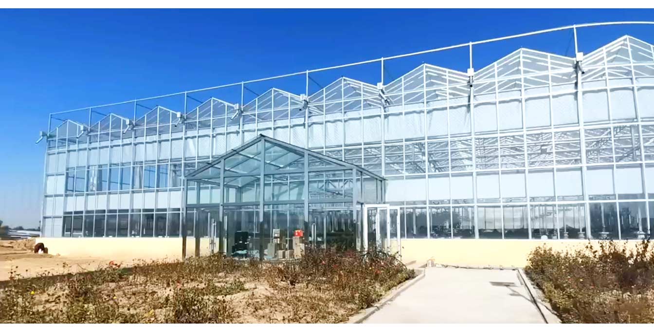 大路鎮(zhèn)苗家灘社區(qū)項(xiàng)目-智能溫室、日光溫室建設(shè)項(xiàng)目_13.jpg
