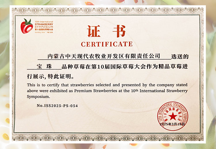 草莓1920網(wǎng)50像素2025年3月12日網(wǎng)頁(yè)_04.jpg 草莓1920網(wǎng)50像素2025年3月12日網(wǎng)頁(yè)_04.jpg