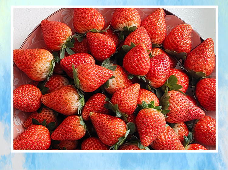 草莓1920網(wǎng)50像素2025年3月12日網(wǎng)頁(yè)_08.jpg 草莓1920網(wǎng)50像素2025年3月12日網(wǎng)頁(yè)_08.jpg