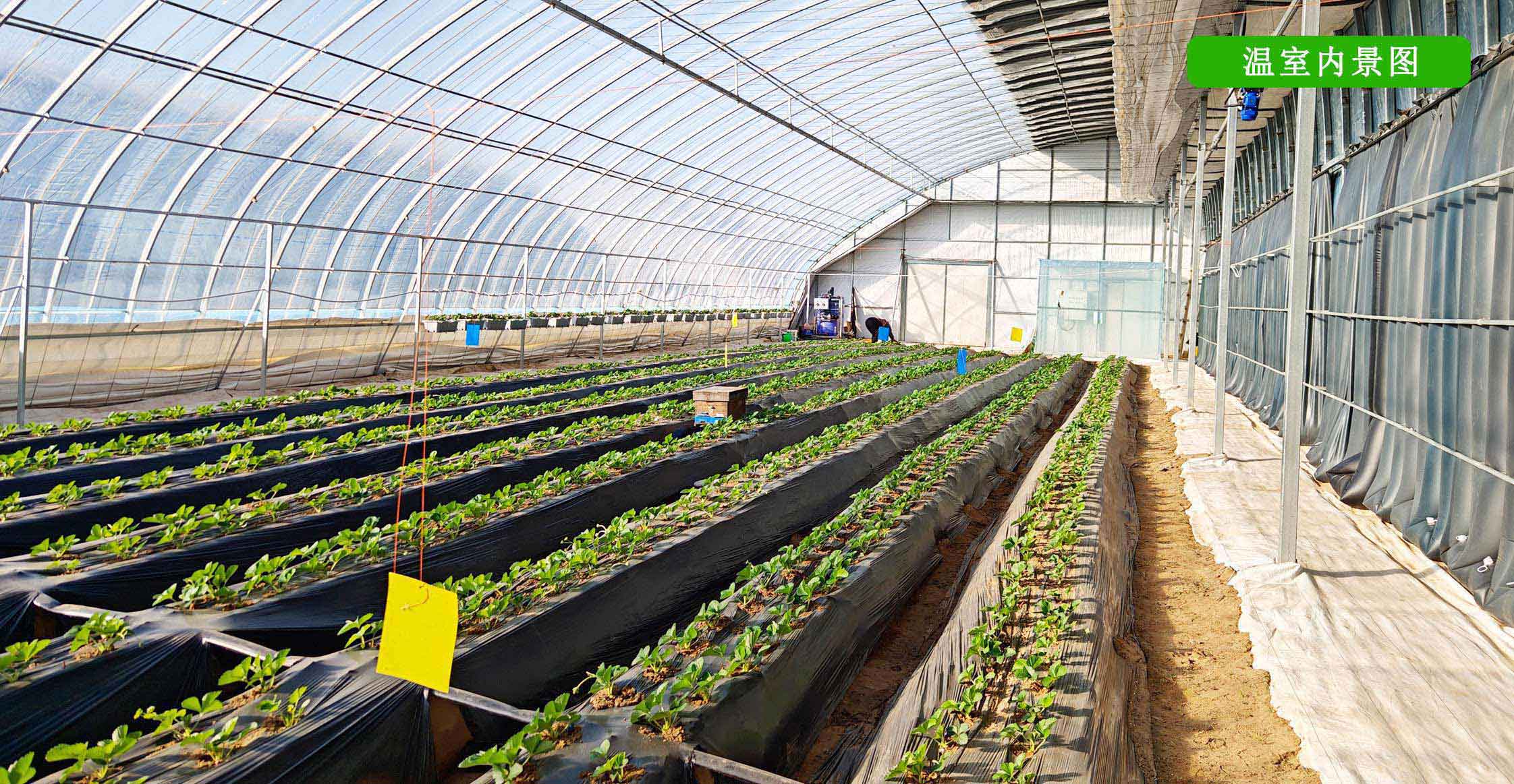 2、全天候四季溫室網(wǎng)頁_12.jpg