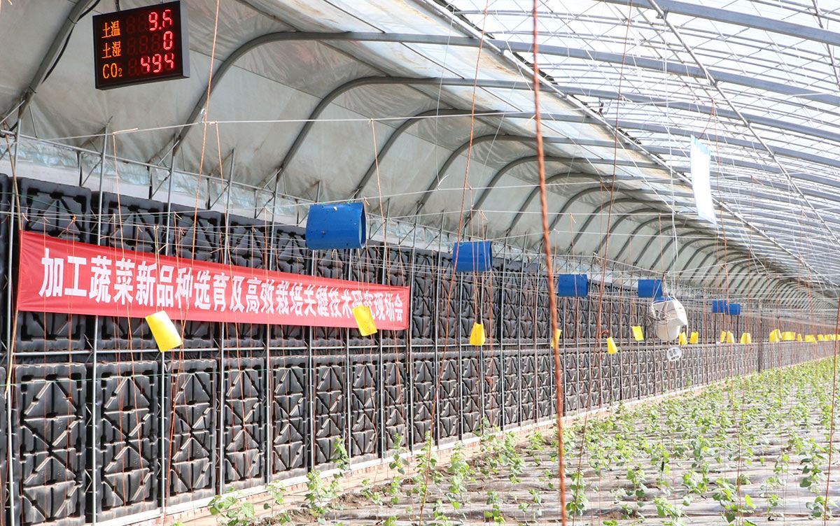 溫濕度切.jpg 溫濕度切.jpg