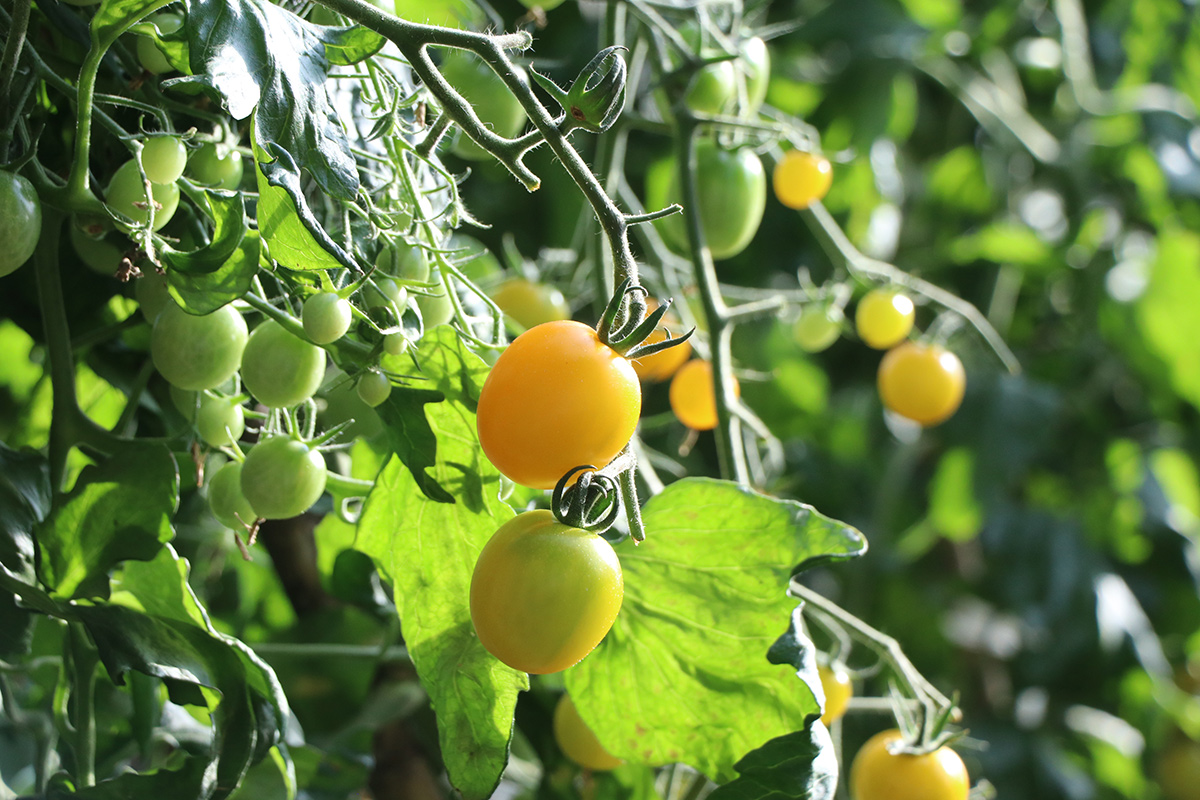 IMG_2248切.jpg IMG_2248切.jpg