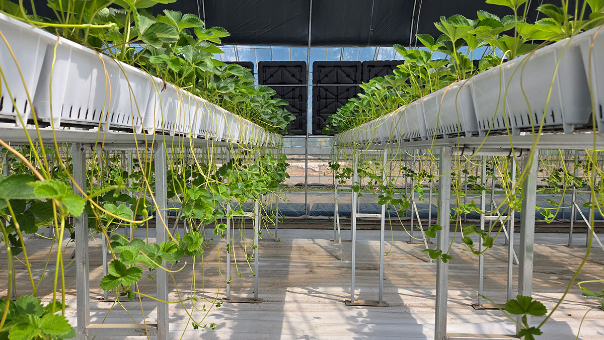 ab93362965700fceedd36f5705b185c6切.jpg ab93362965700fceedd36f5705b185c6切.jpg