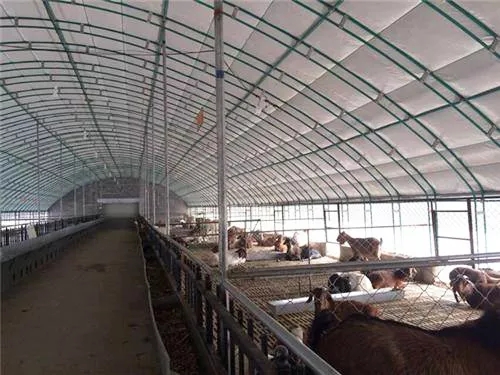 undefined “內(nèi)蒙古畜牧棚舍”data-fail="0"